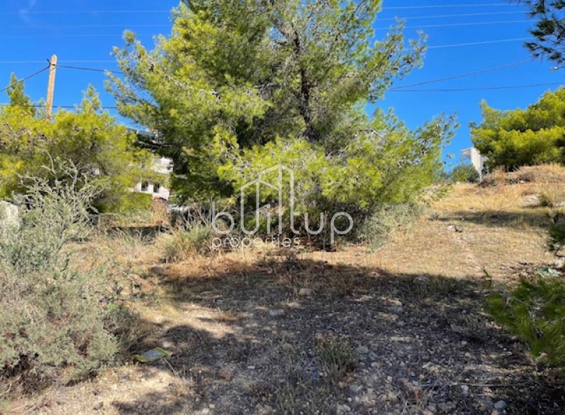 property-img